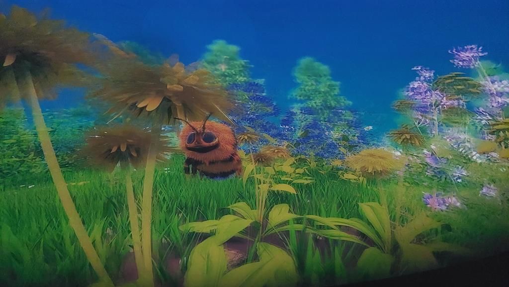 20250528_095148 (Copy)