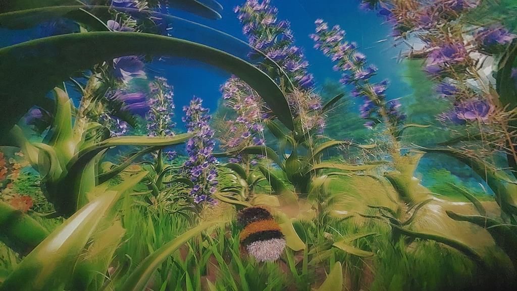 20250528_095153 (Copy)