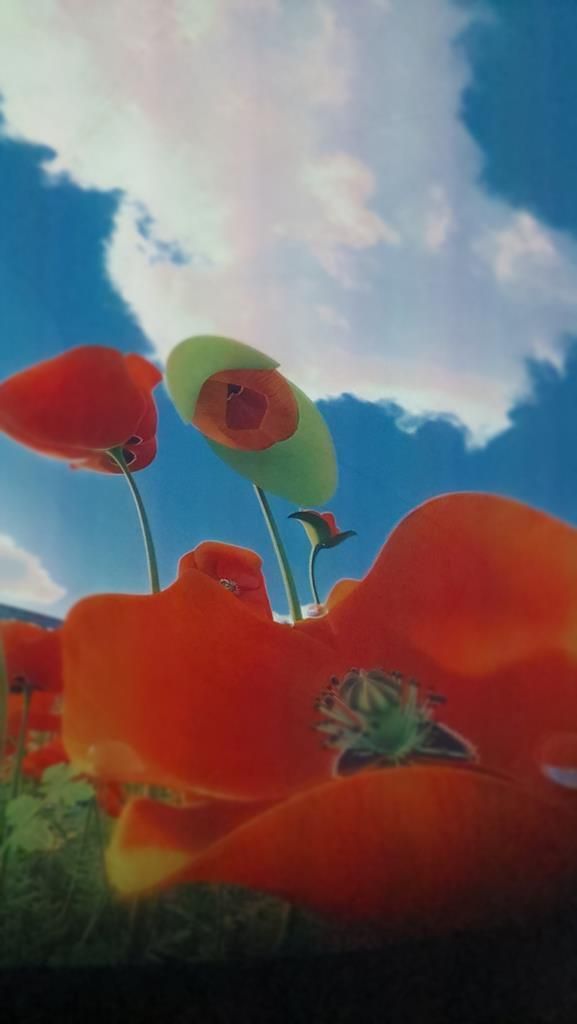 20250528_093233 (Copy)