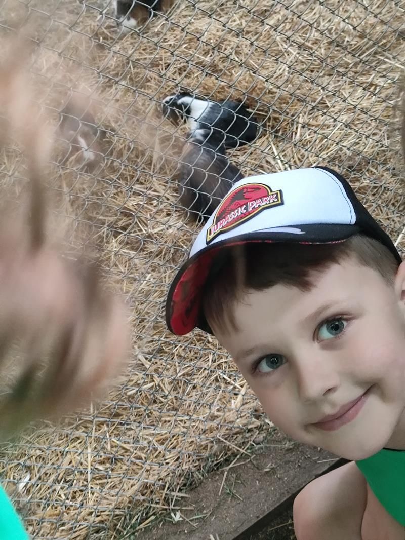 IMG_20250605_101923 - kopia